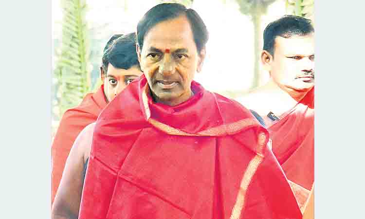 కేసీఆర్‌ బర్త్‌డే వేడుకలకు సిద్ధమైన టీఆర్‌ఎస్‌ శ్రేణులు