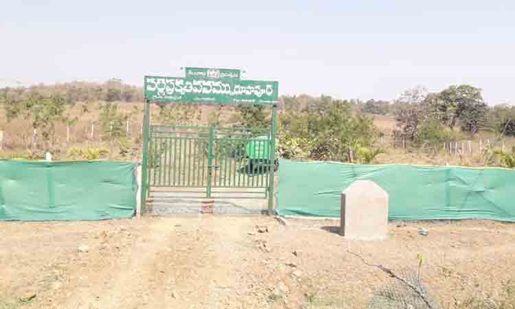 ప్రగతి బాటలో రూపాపూర్‌