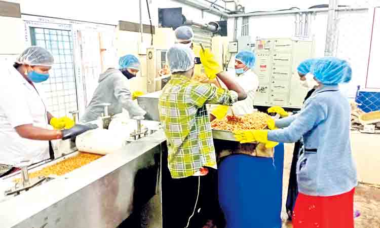 గిరిజనులకు వరం పల్లిపట్టి