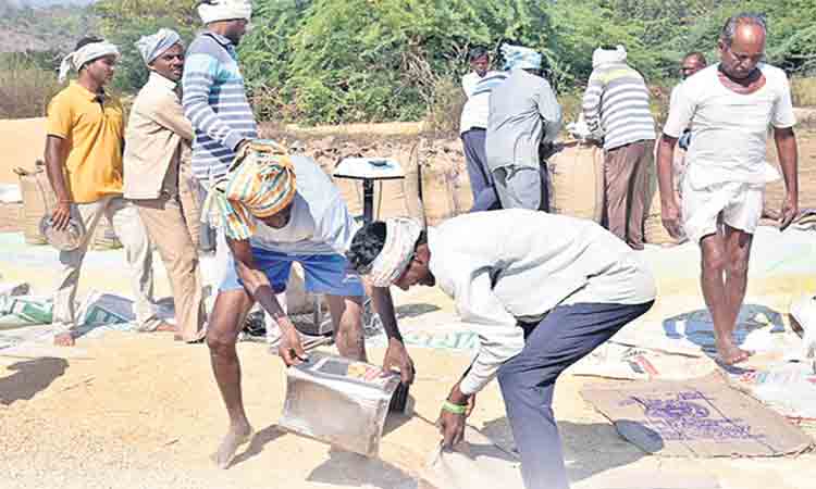 మంచిర్యాల జిల్లాలో ముగిసిన ధాన్యం కొనుగోళ్లు