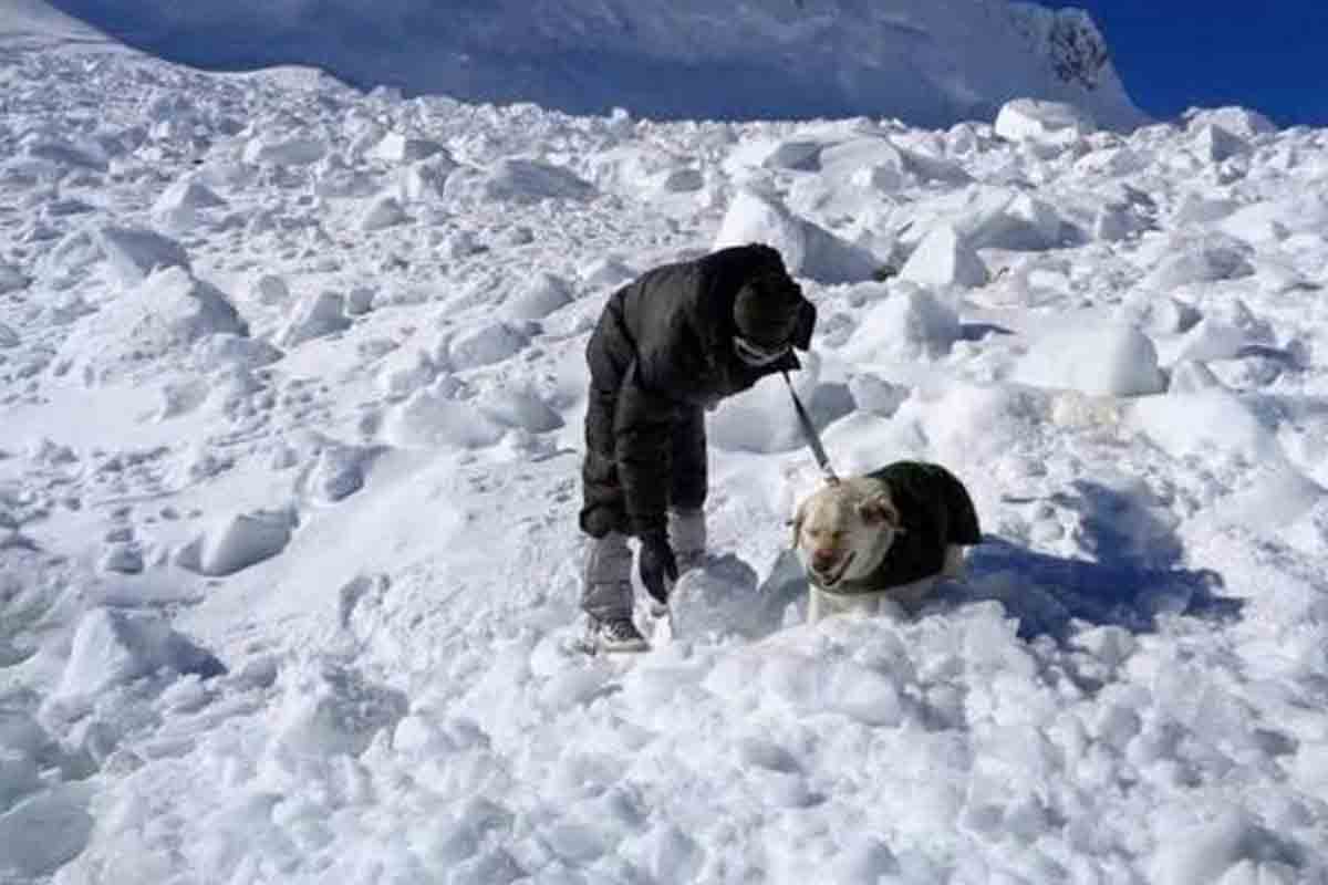 హిమపాతంలో ఏడుగురు జవాన్ల గల్లంతు