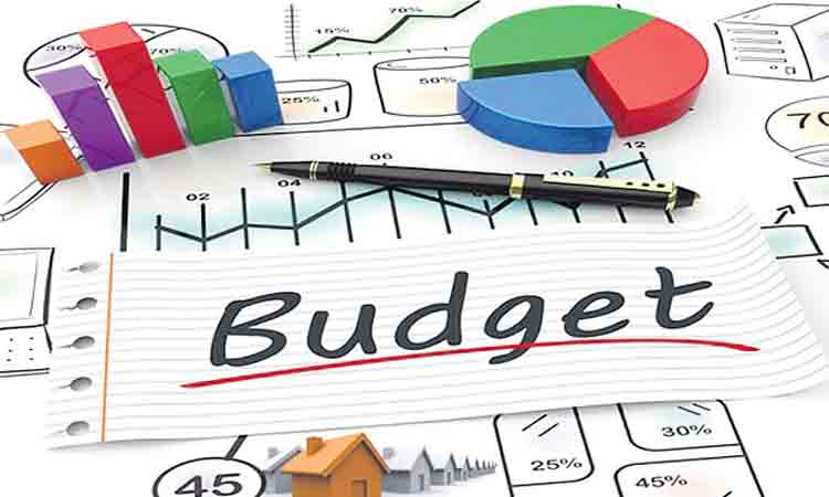 బడ్జెట్‌లో మన జాడ ఎక్కడ?