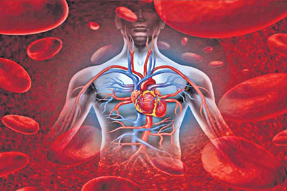 రక్తం గడ్డ కట్టడానికి పట్టే సమయం?