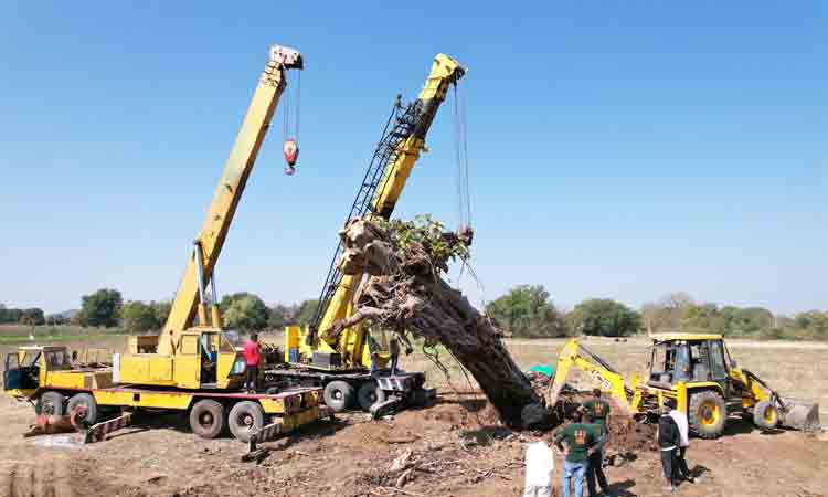 వందెండ్ల మ‌ర్రిచెట్టుకు పునర్జన్మ‌నిచ్చారు.. ప్రాణ‌వాయువు ఇచ్చే వృక్షానికే ఆయువు పోశారు