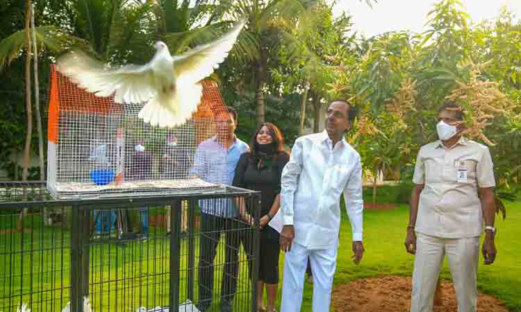 మీ కంటే మంచి తాత మరొకరు లేరు