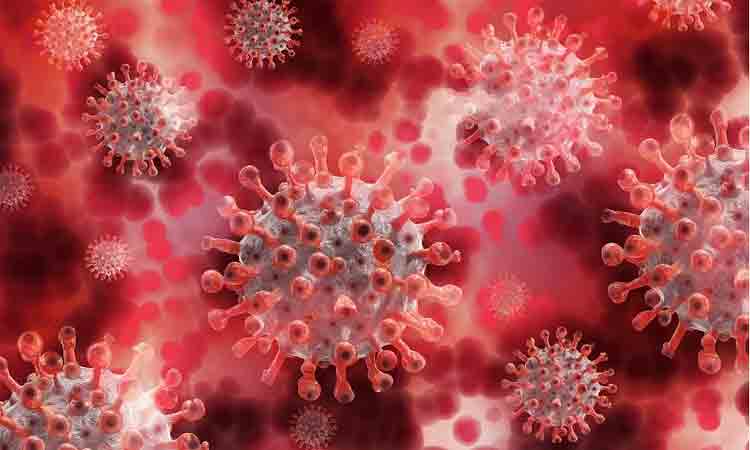 Coronavirus | కరోనా వల్ల బుర్ర సైజు తగ్గుతుంది.. వెల్లడించిన శాస్త్రవేత్తలు