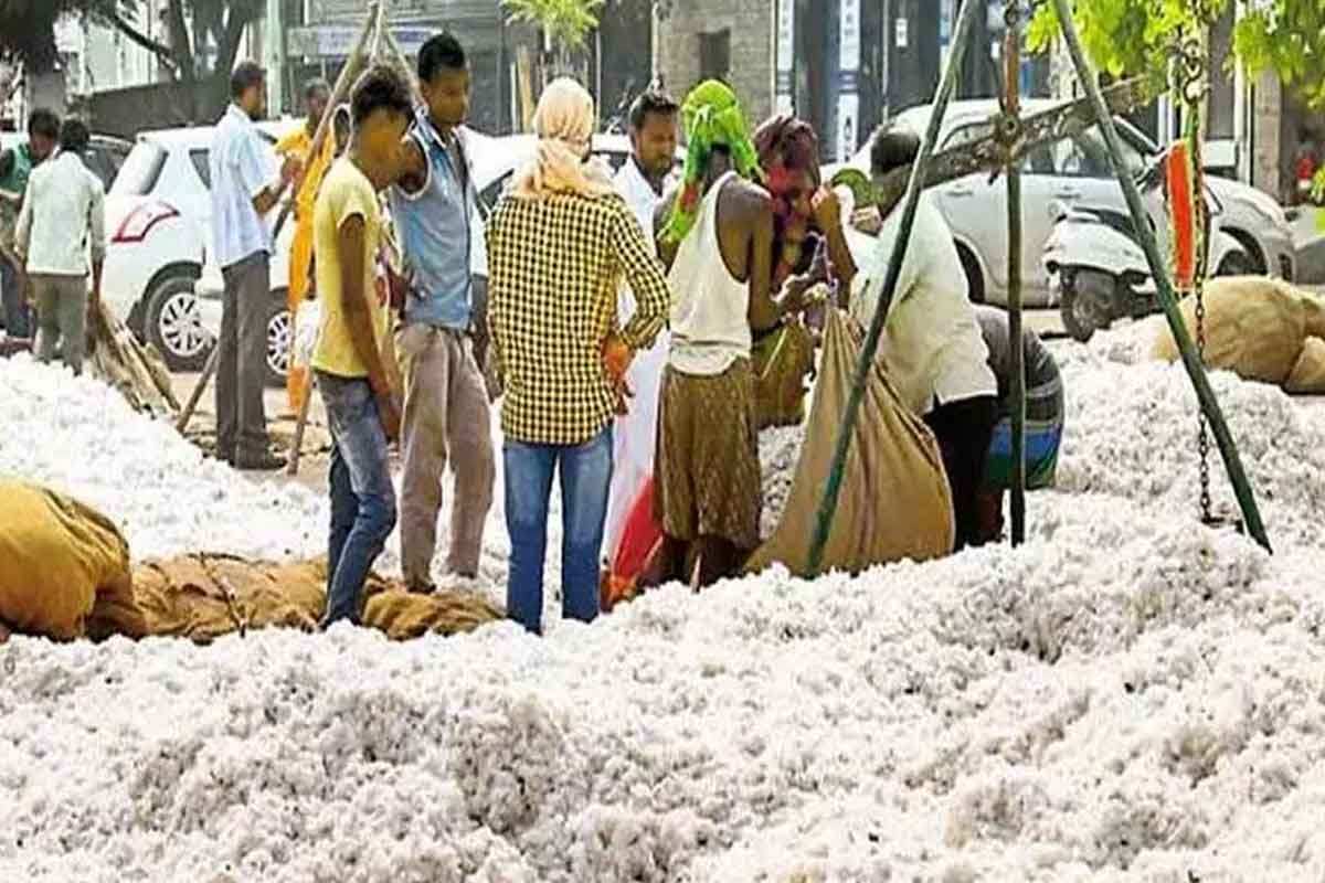 కర్నూలులో ఆల్ టైమ్ రికార్డు పలికిన పత్తి ధర.. ఎంతంటే..?