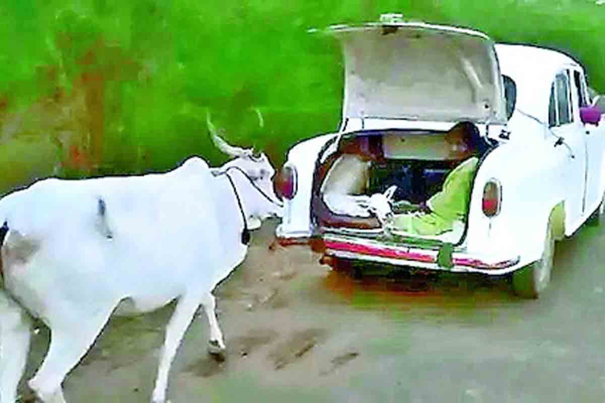 బిడ్డా.. వస్తున్నా భయపడకు!