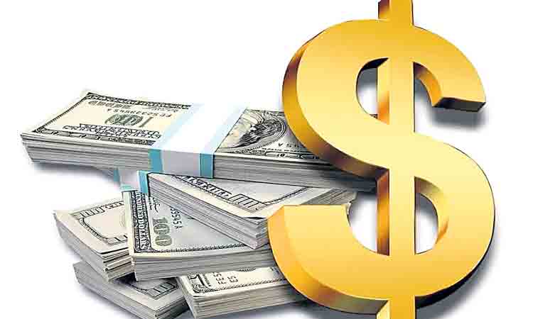 పెరిగిన డాలర్‌ మిలియనీర్లు.. గతేడాది దేశంలో 11 శాతం వృద్ధి