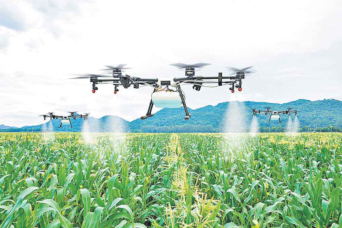 వ్యవసాయానికి సాయమేది?