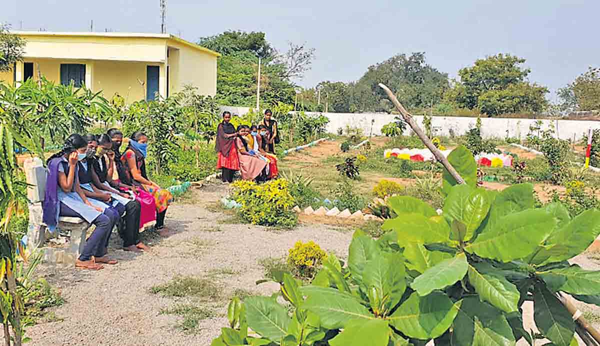 మన పల్లెలు బంగారం