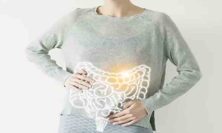 Health Tips | జీర్ణ‌వ్య‌వ‌స్ధ మెరుగ‌వాలంటే ఈ మూడూ కీల‌కం!