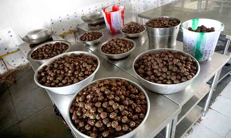 Ippa puvvu laddu | ఇప్ప‌పూలతో చేసే ఈ ల‌డ్డూలు మ‌హిళ‌లు తింటే మంచిదేనా?