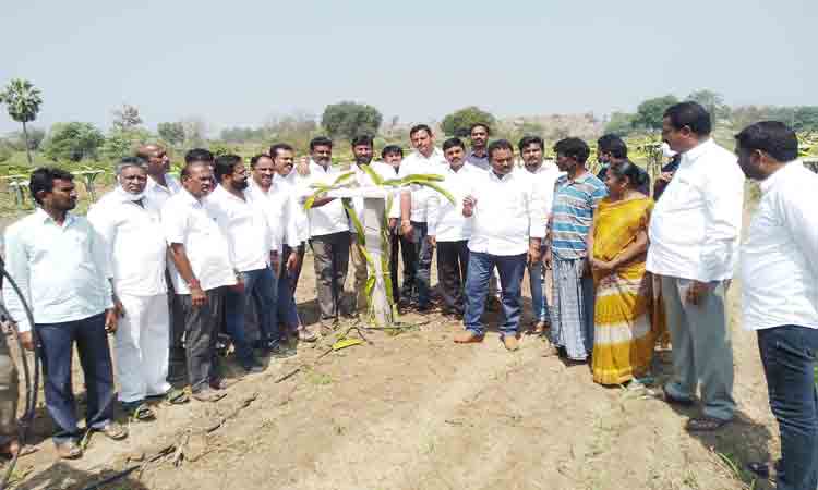 ఆరుతడి పంటలు సాగు చేయాలి