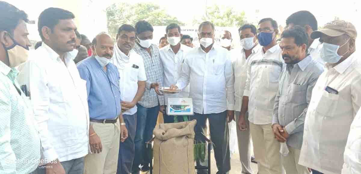 కందుల కొనుగోలు కేంద్రాన్ని ప్రారంభించిన ఎమ్మెల్యే