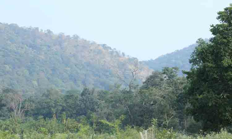 చూడాలోయి చప్పట్ల బావి