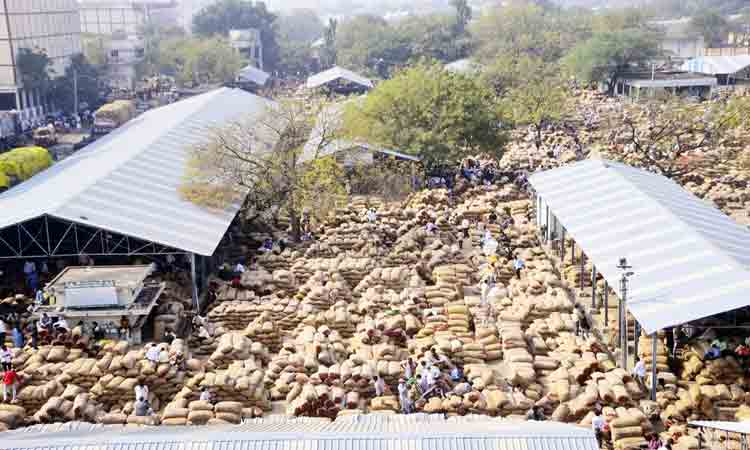 తేజా ప్రభంజనం