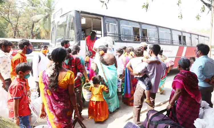 దారులన్నీ జాతర వైపే…