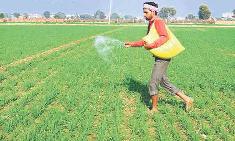 ఫెర్టిలైజర్స్‌పై సబ్సిడీలకు కోత విధించిన కేంద్రం
