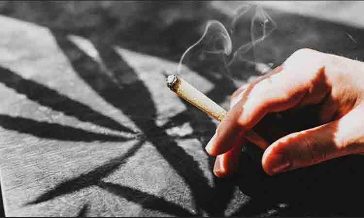 గంజాయి రవాణా పై ఉక్కుపాదం