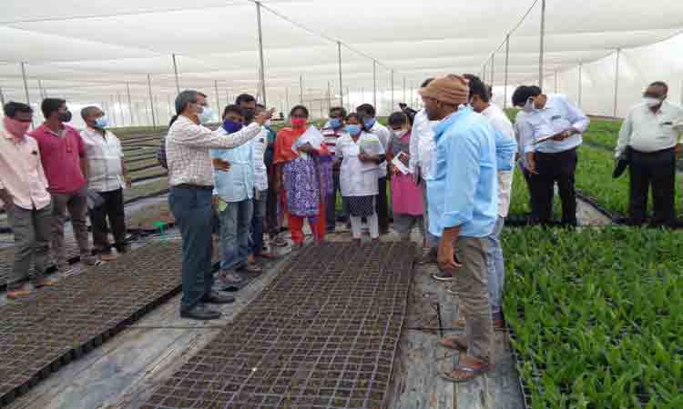 ఆయిల్‌ పామ్‌ వైపు అడుగేయండి