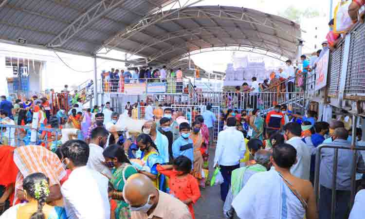 రాజన్న ఆలయంలో విజిలెన్స్‌ విభాగం