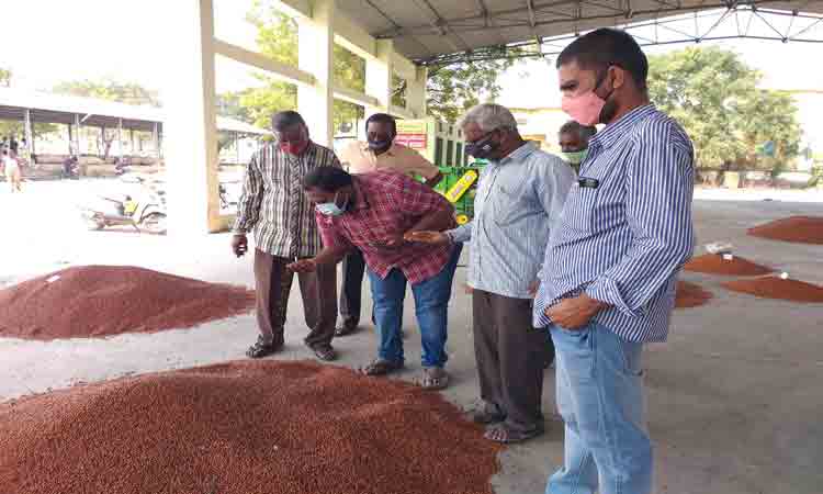 కంది రైతుకు ఊరట