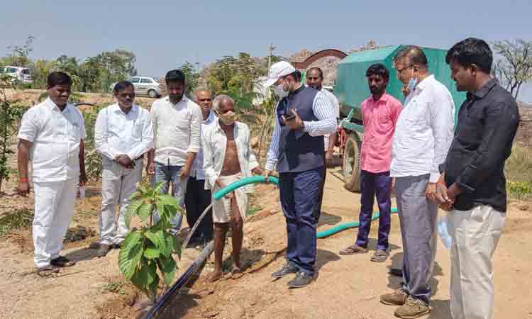 మొక్కల సంరక్షణ అందరి బాధ్యత