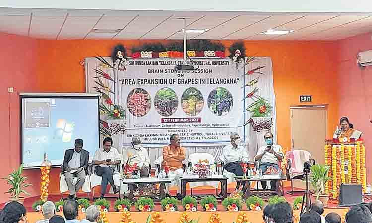 ద్రాక్షతోటలను ప్రోత్సహించాలి