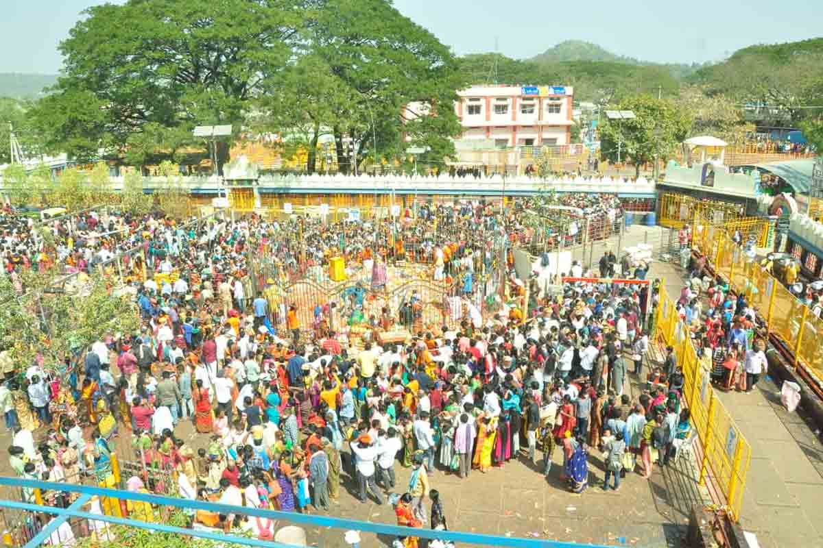 Medaram | ఆదివారం ఒక్కరోజే పది లక్షల మందికి దర్శనం..!