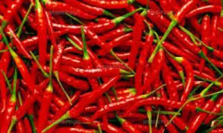 వరంగల్‌లో రికార్డు ధర పలికిన మిర్చి.. ఎంతంటే..?