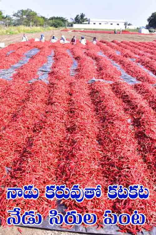 నాడు క‌రువుతో క‌ట‌క‌ట‌.. నేడు సిరుల పంట‌..