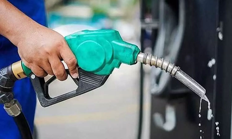 petroleum ministry | స్థిర‌మైన పెట్రో ధ‌ర‌లే ఉండేట్లుగా చూస్తాం :  పెట్రోలియం శాఖ‌