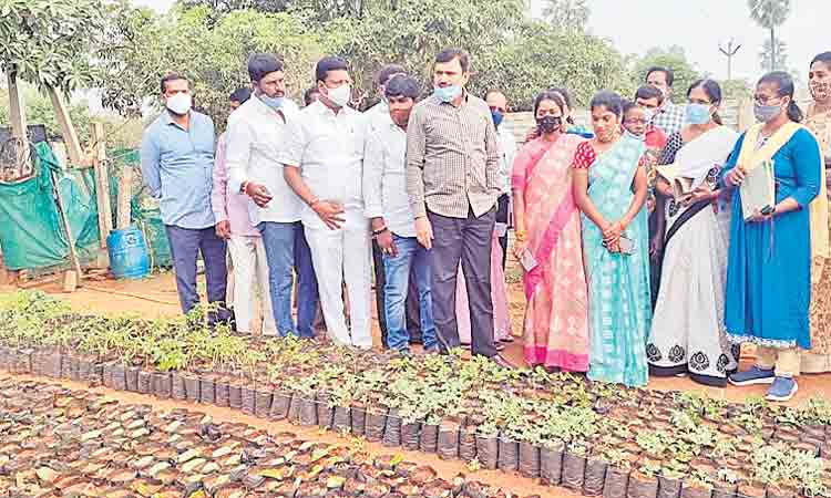 పలు అభివృద్ధి పనుల తనిఖీ