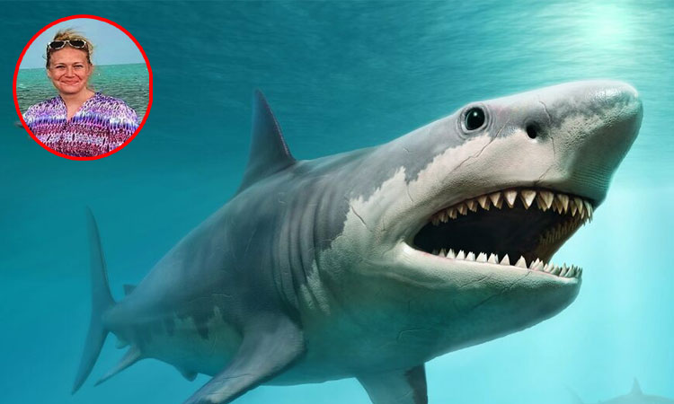 షార్క్‌కు చిక్కిన మ‌హిళ‌… 35 సెక‌న్లు షార్క్‌ను విప‌రీతంగా బాది… బాది.. త‌ప్పించుకుంది
