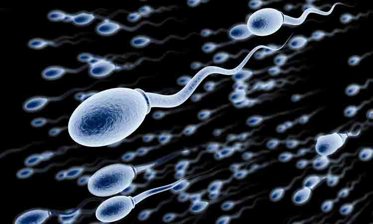 వీర్య కణాల కదలికపై కాలుష్యం ప్రభావం