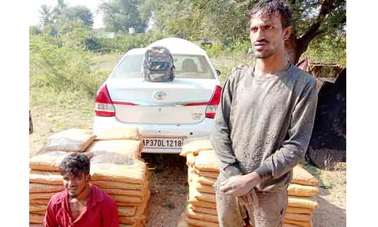 Crime news | సూర్యాపేట జిల్లాలో 240 కిలోల గంజాయి పట్టివేత