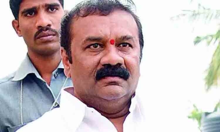 పాడి ప‌రిశ్ర‌మ రంగ అభివృద్ధికి తెలంగాణ ప్ర‌భుత్వం చేస్తున్న కృషి మ‌రువ‌లేనిది : మంత్రి త‌ల‌సాని