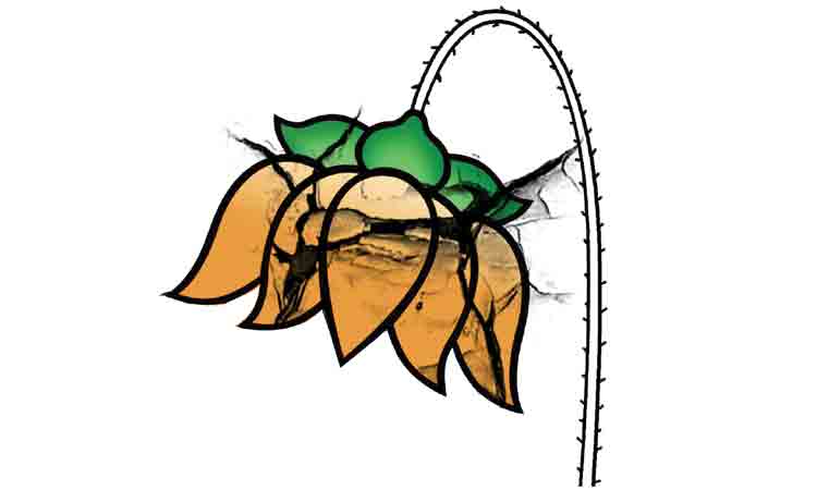 బీజేపీలో ముసలం..!