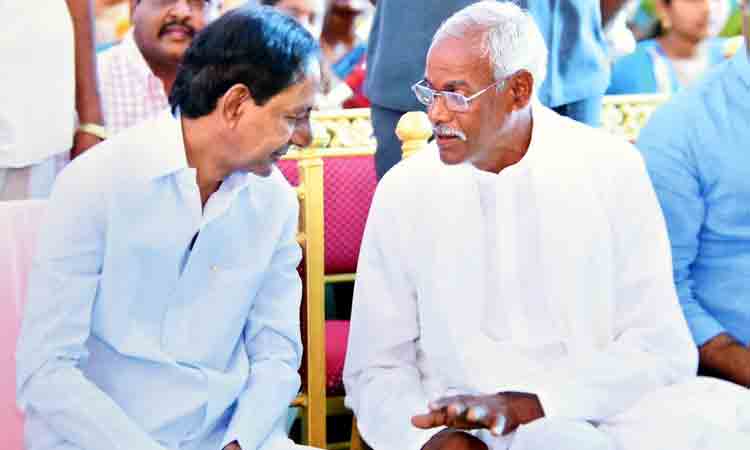 అన్న పుట్టిన రోజు రైతన్నకు పండుగ రోజే