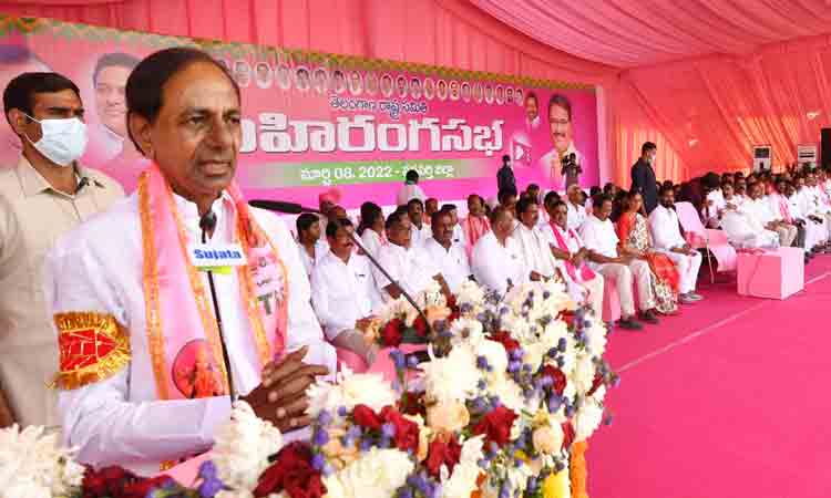 వజ్రపుతునక పాలమూరు