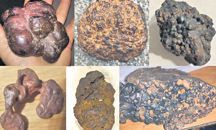 రాష్ట్రంలో బంగారు గనులు ఉన్న ప్రాంతాలు ఏవి?