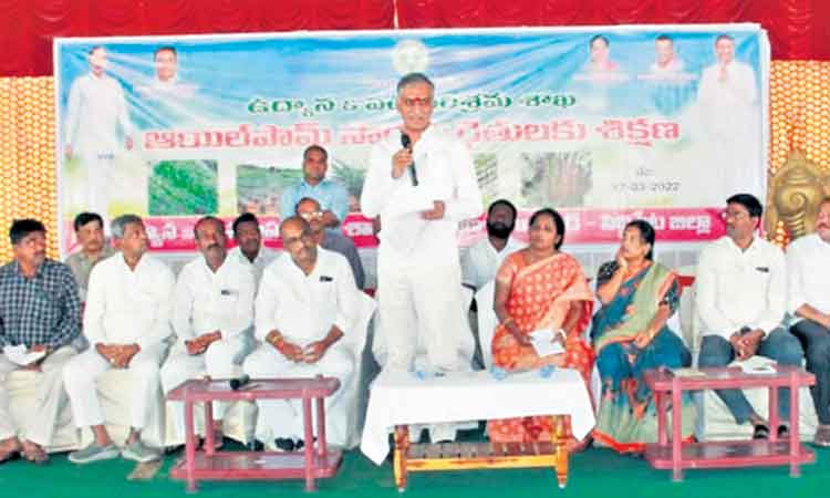 ఆయిల్‌పామ్‌తో స్థిరమైన ఆదాయం