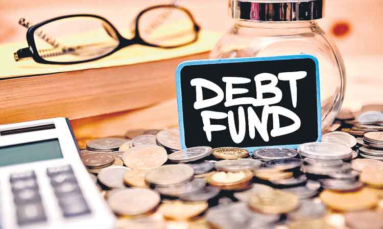 లాంగ్‌ టర్మ్‌ డెట్‌ ఫండ్లు