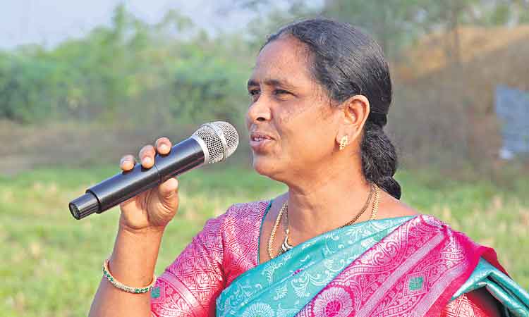 ఈతాకు ఇల్లంటివో..!