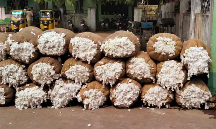 ఖమ్మం ఏఎంసీలో పత్తికి రికార్డు ధర