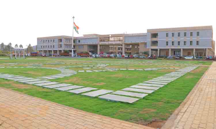 శాఖలన్నీ ఒకేచోట..