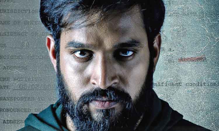 డై హార్డ్‌ఫ్యాన్‌ వినోదం