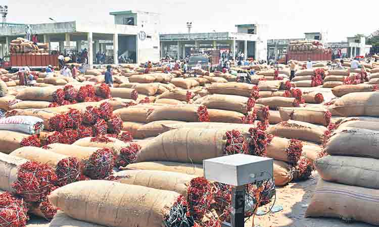 మెరిసిన ఎర్రబంగారం