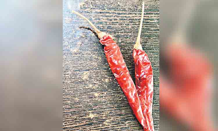 మిర్చి క్వింటాల్‌కు 41 వేలు